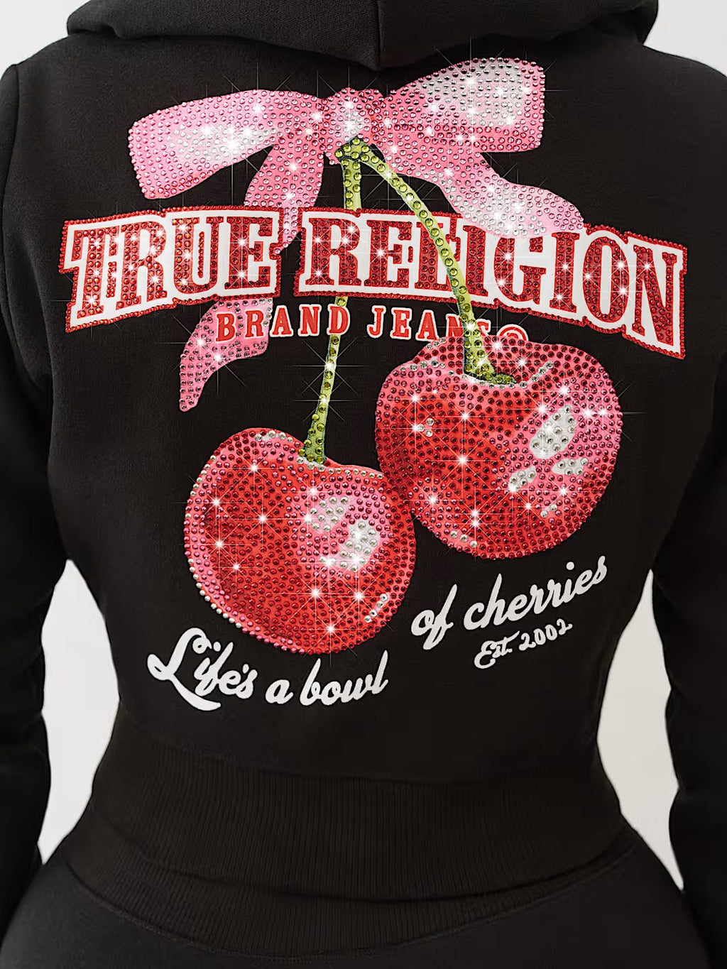 True Religion Wing Rhinestone Loose Casual Sweatpants Women Y2K